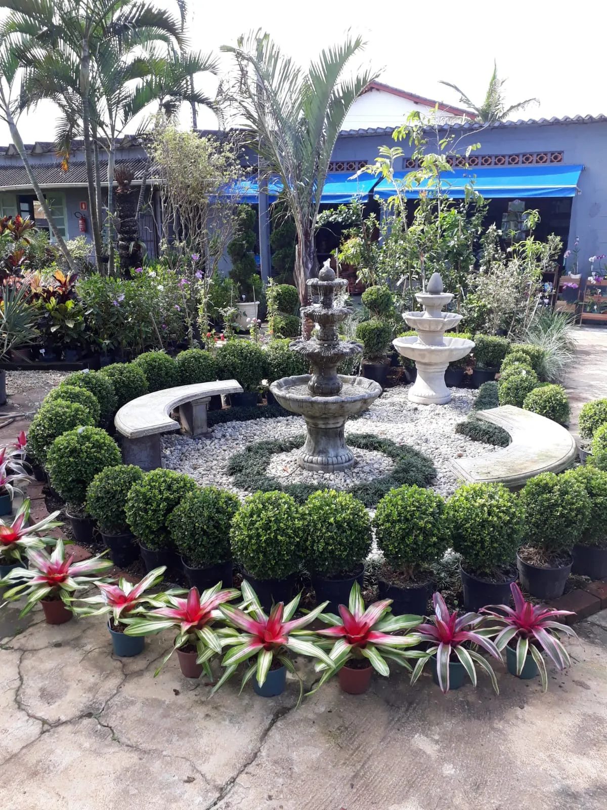 Jardim da loja Jardinagem Ribeiro