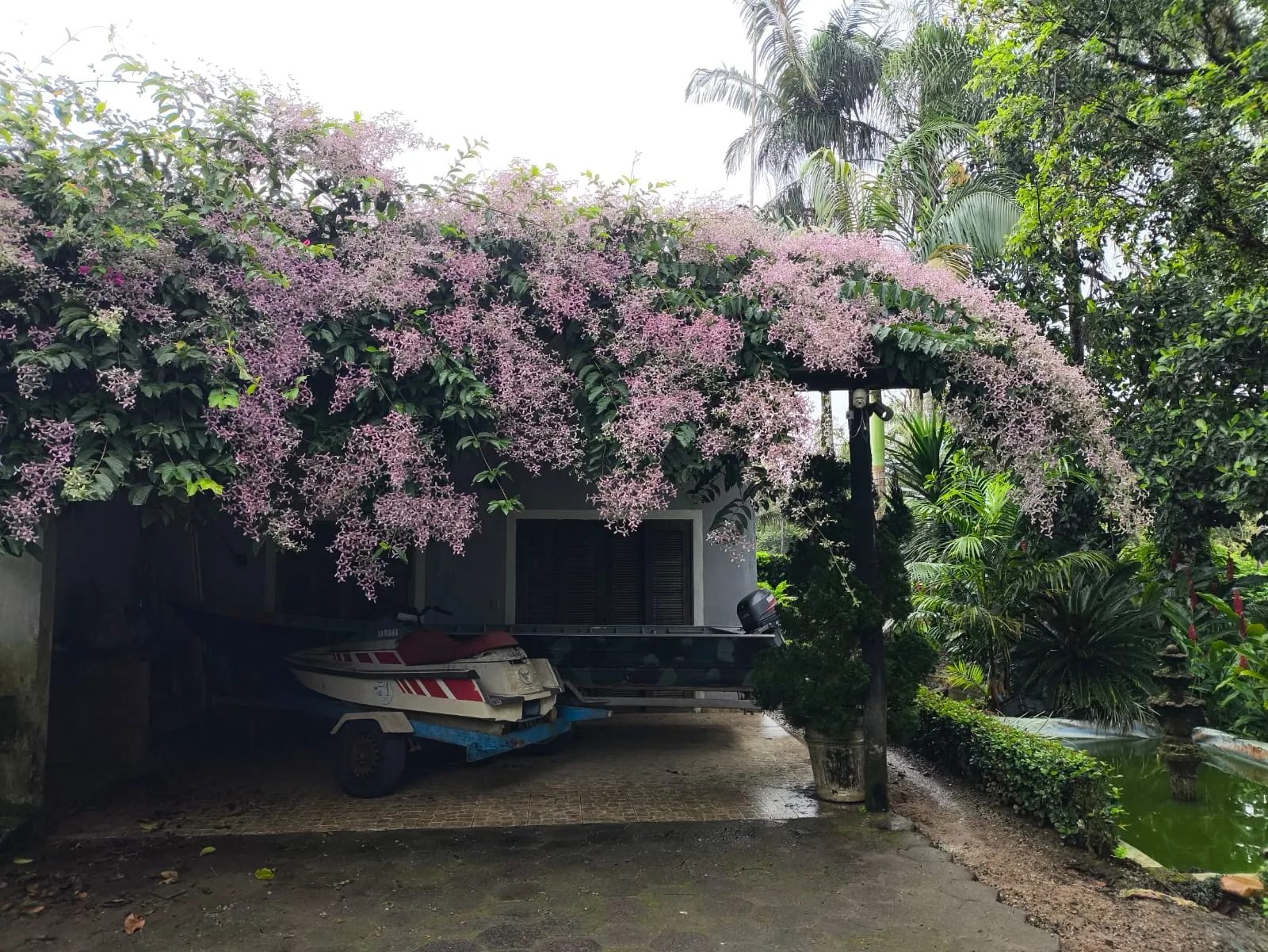 Jardim implantado